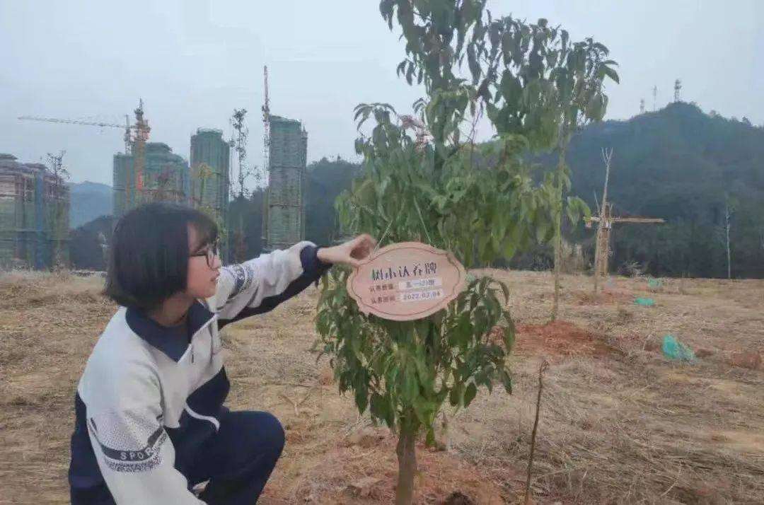 卡通绿色背景图片_学生绿色生活方式图片卡通_卡通绿色