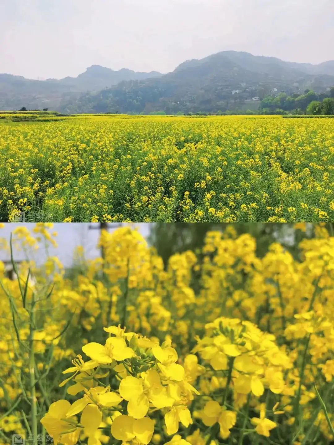 贵州趣味生活开阳河湾温泉酒店_开阳县河湾酒店_贵州开阳温泉酒店有几个