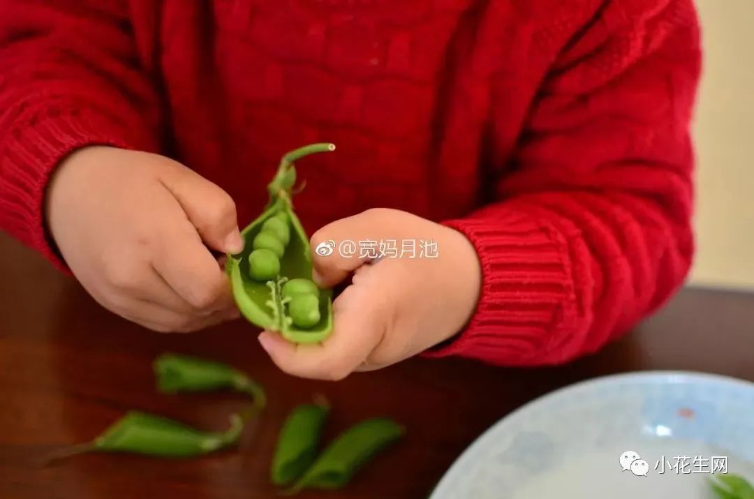 筷子使用意义_使用筷子的学问_使用筷子生活技能