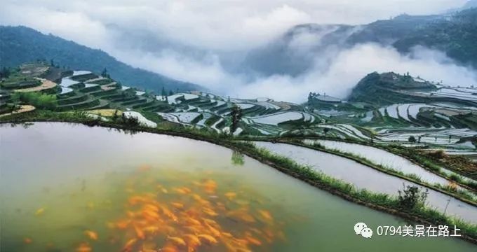 婚纱外景地_婚纱外景拍照姿势大全图片_青田婚纱照外景