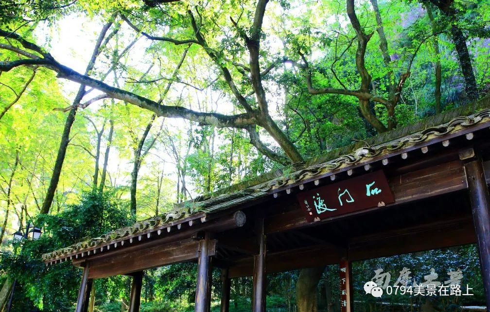 青田婚纱照外景_婚纱外景地_婚纱外景拍照姿势大全图片